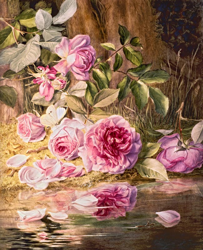 Blairie Roses od Mary Elizabeth Duffield