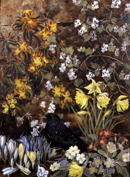 Spring Flowers od Mary Ensor