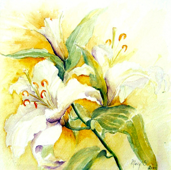 white lilies od Mary Smith