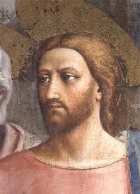The Tribute Money (Christ's Head - detail of 31642) c.1427 (fresco)