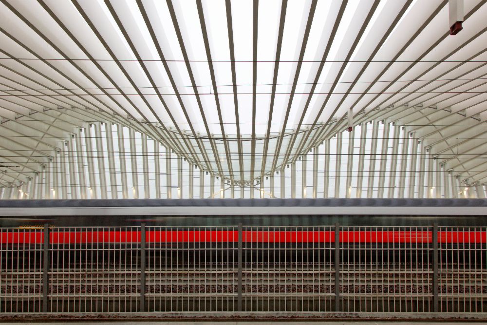 the red line od Massimo Della Latta