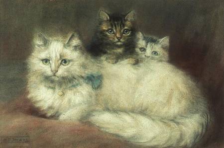 A Persian Cat and her kittens od Maud D. Heaps