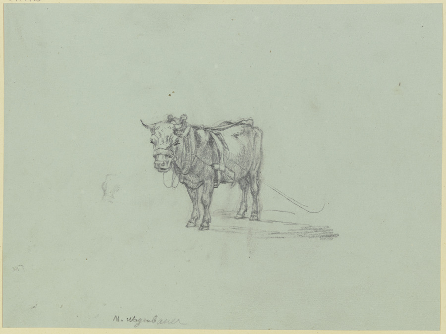 Harnessed ox od Max Joseph Wagenbauer