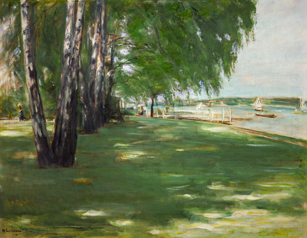 the artists' garden at Wannsee: birches on the lakefront od Max Liebermann