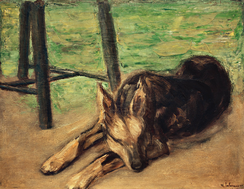 Schlafender Schäferhund od Max Liebermann