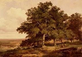 Oak cluster of trees with smallholders in front of a wide landscape. od Max Zimmermann