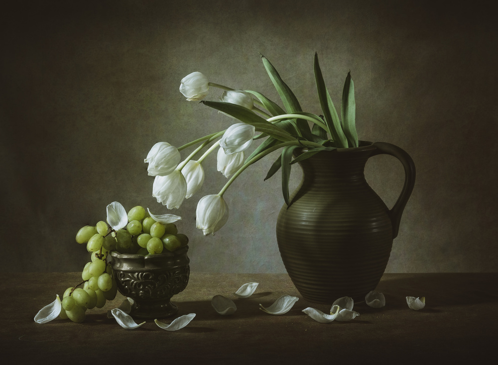 White Tulips od May G
