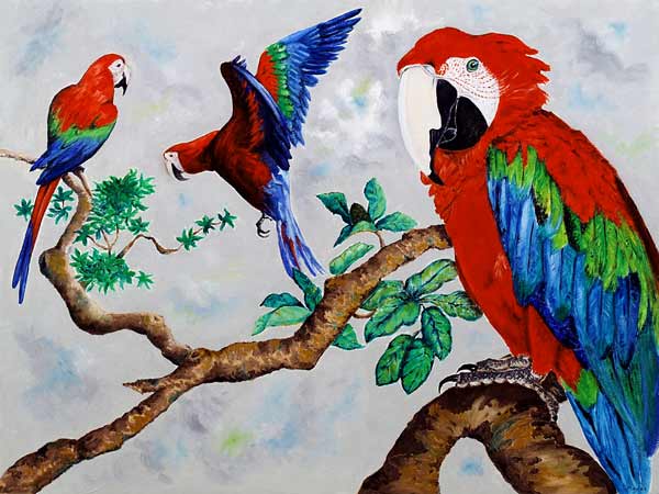 Macaws od Maylee  Christie