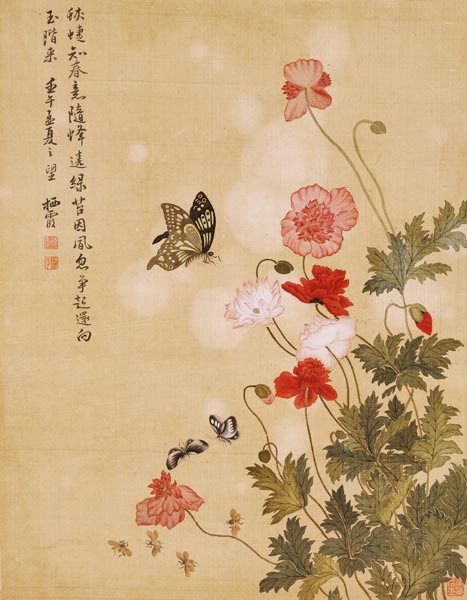 Mohnblumen und Schmetterlinge od Ma Yuanyu