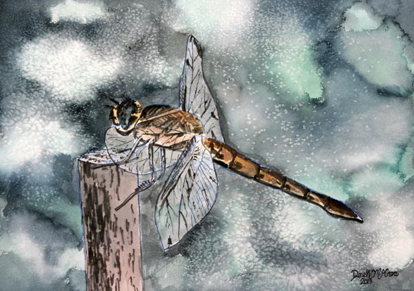 Dragonfly 2 od Derek McCrea