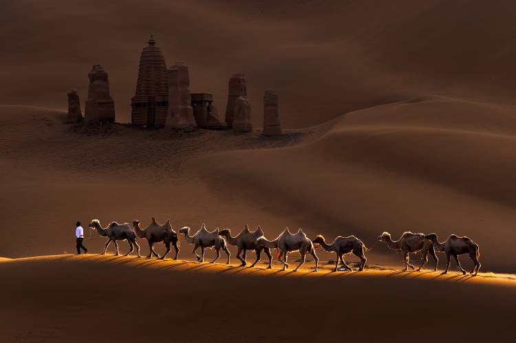 Castle and Camels od Mei Xu