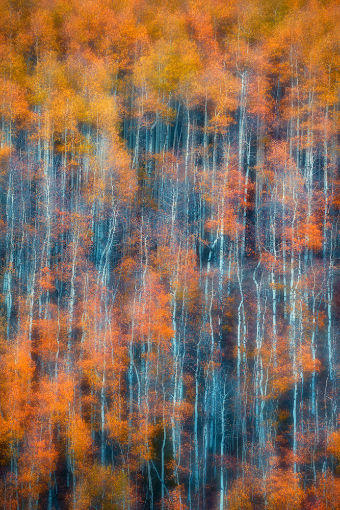 Autumn Abstract Vertical od Mei Xu