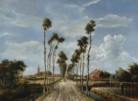 Avenue of Middelharnis 1689