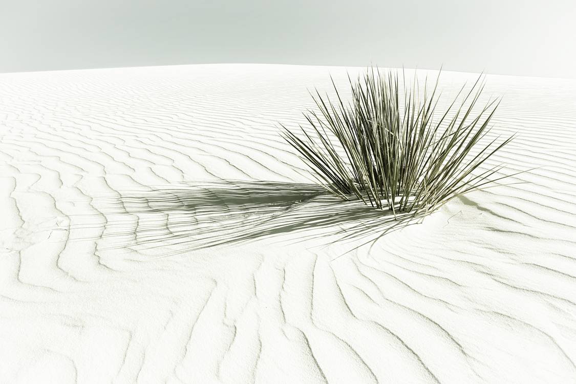 Duny, národní památník White Sands | Vinobraní od Melanie Viola