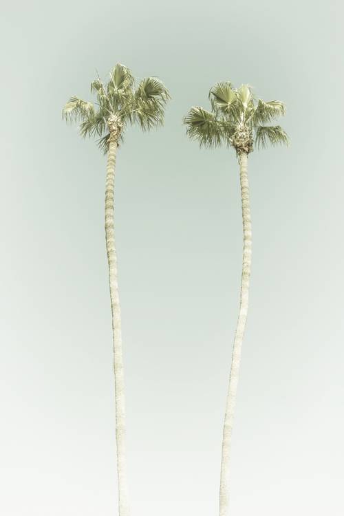 Minimalistická idyla s palmami na pláži | Vintage  od Melanie Viola