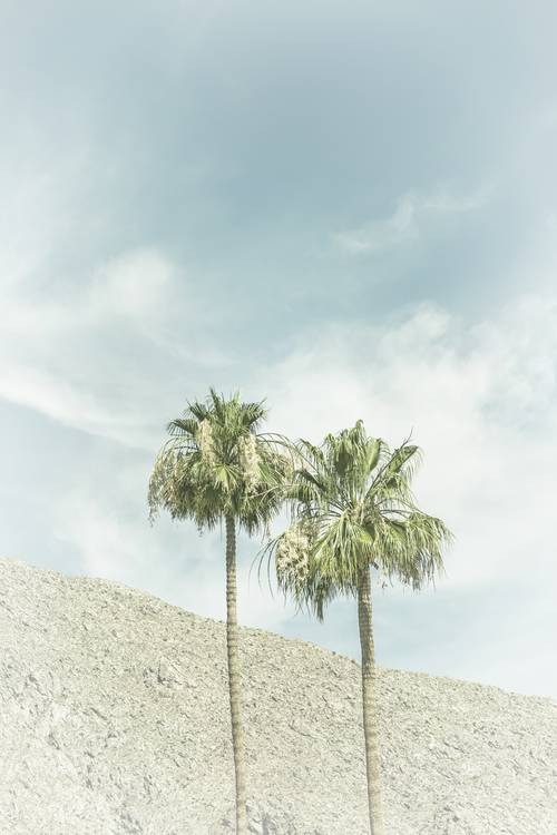 Palmové stromy v poušti | Vintage od Melanie Viola