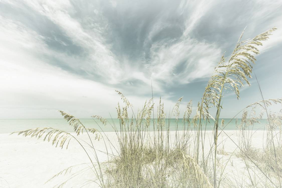 Reed na pláži - nebeské ticho | Vinobraní od Melanie Viola