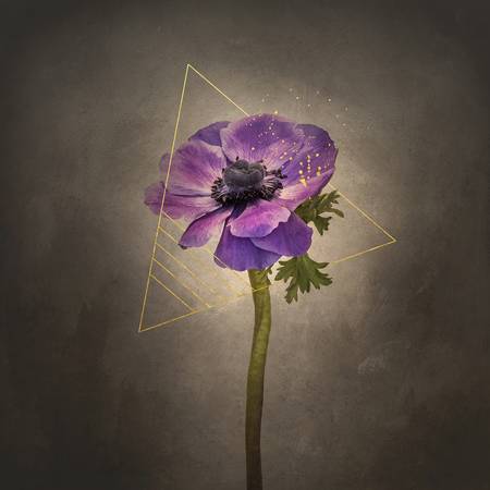 Půvabná květina - koruna sasanky | Vintage styl zlatá 