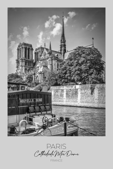 V centru pozornosti: pařížská katedrála Notre-Dame
