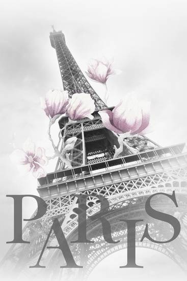 PAŘÍŽ Eiffelova věž s magnóliemi 