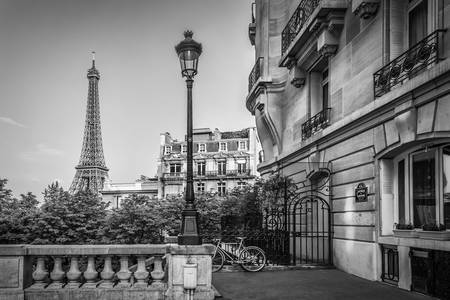 Pouliční scéna s pařížským šarmem | Monochromatická Eiffelova věž