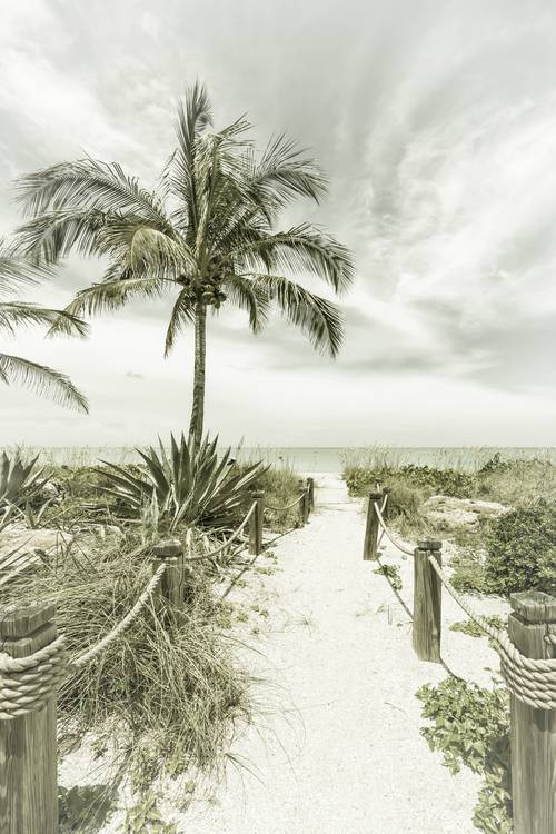 Cesta na pláž - Palms & Sea | Vinobraní od Melanie Viola