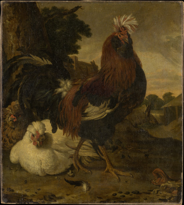 Cock in a Barnyard od Melchior de Hondecoeter