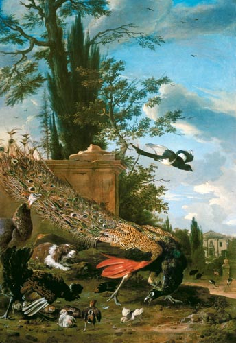 A Peacock and a Spaniel in the Garden of a Villa od Melchior de Hondecoeter