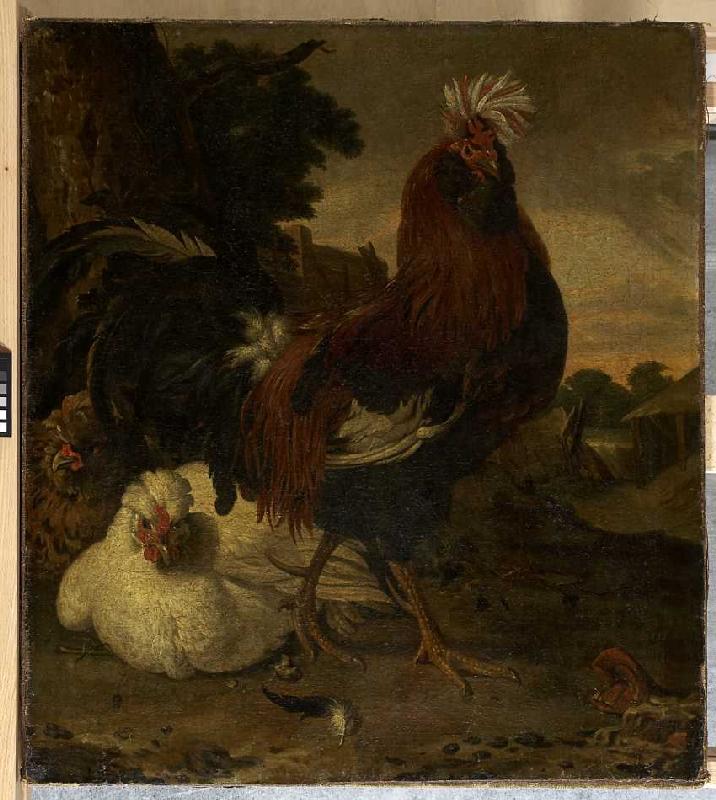 Hahn und zwei Hennen. od Melchior de Hondecoeter