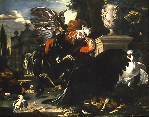 Fight between turkey cock and rooster od Melchior de Hondecoeter