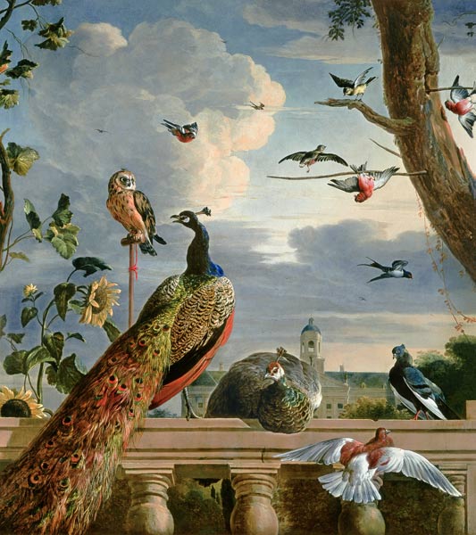Palace of Amsterdam with Exotic Birds od Melchior de Hondecoeter