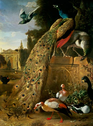Peacock and a Peahen on a Plinth, with Ducks and Other Birds in a Park od Melchior de Hondecoeter