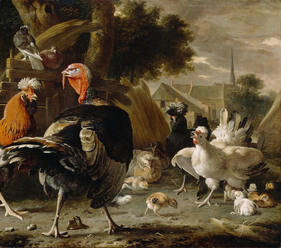 Poultry Yard od Melchior de Hondecoeter