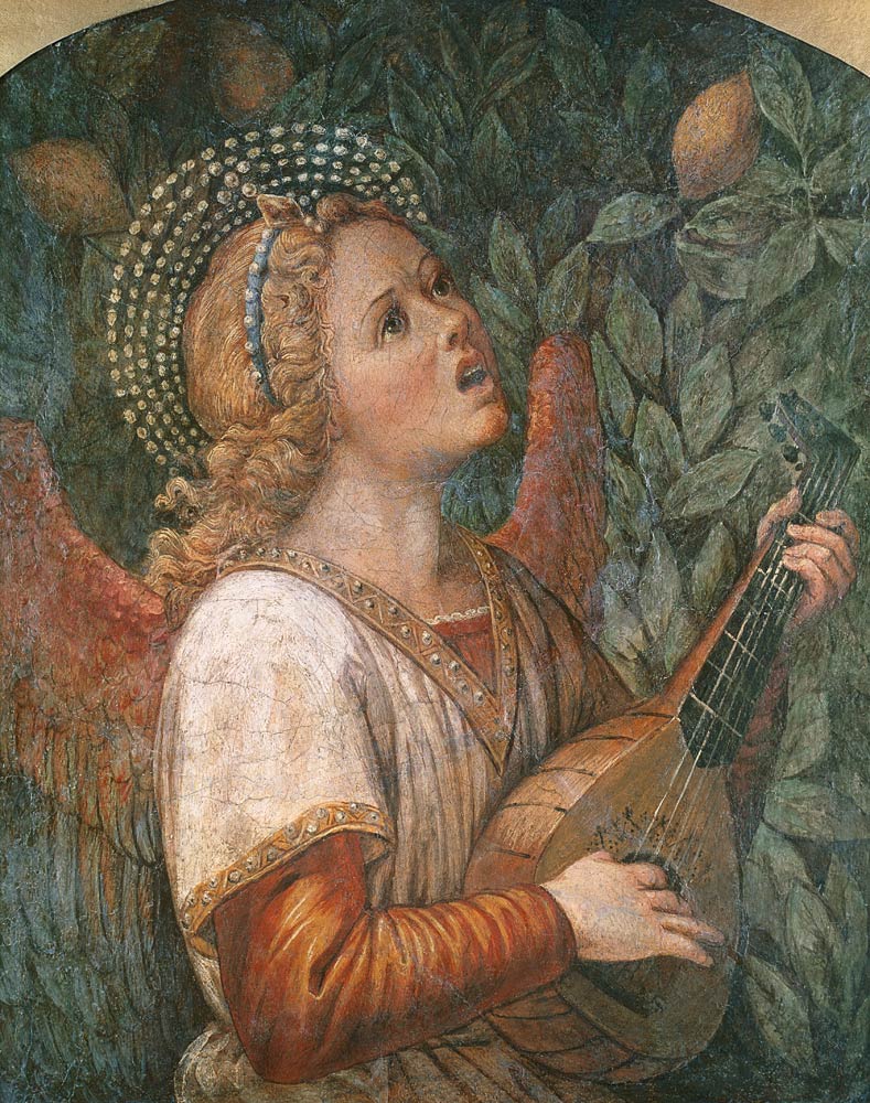 Angel Musician od Melozzo da Forli