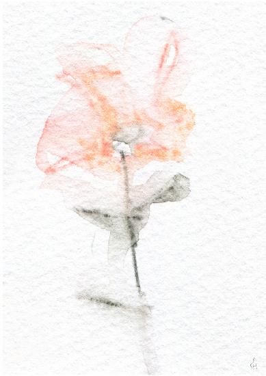 Poetic Flower