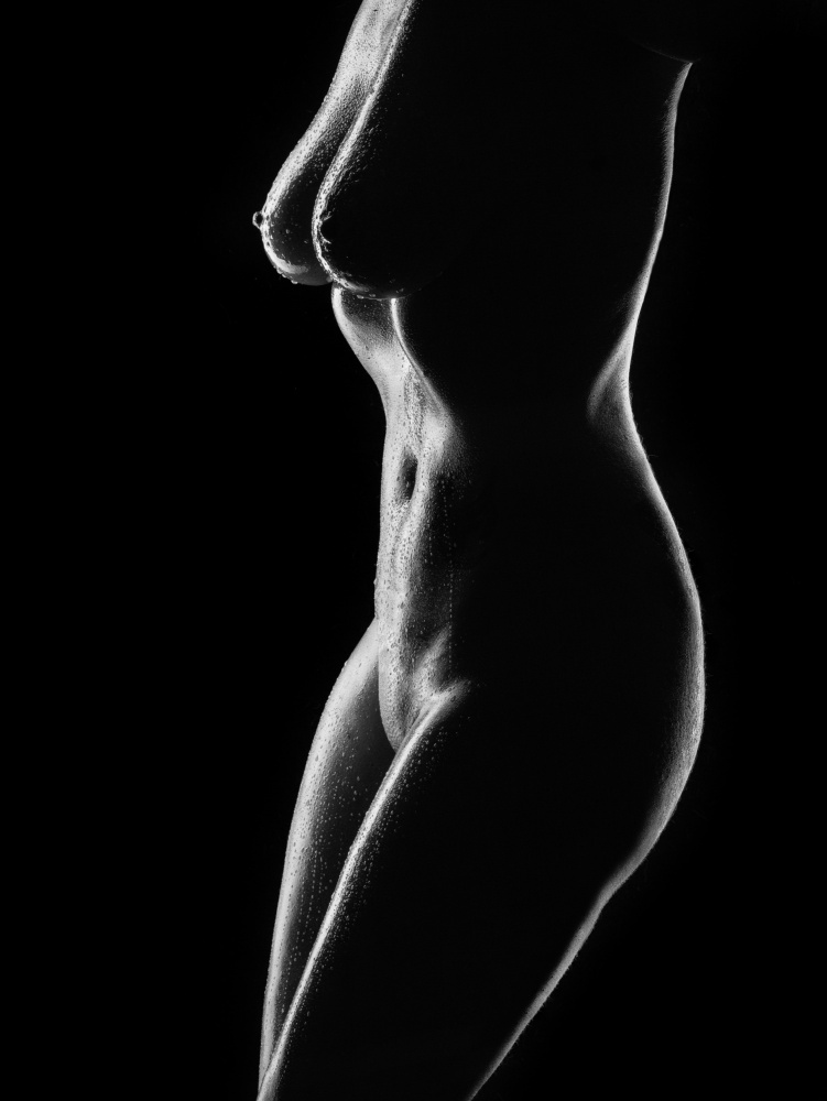 female body shapes od Michael Allmaier