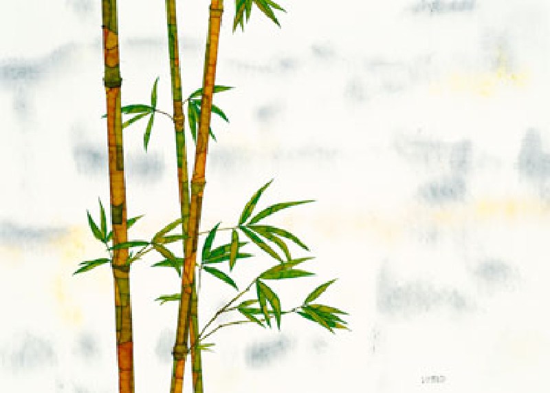 Bambus od Michael Ferner