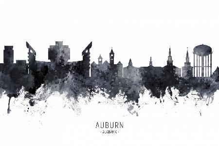 Auburn Alabama Skyline