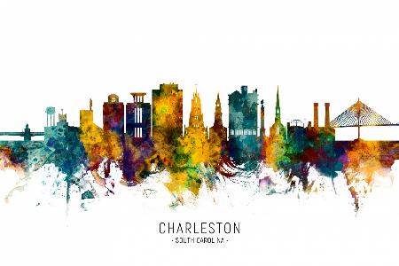 Charleston South Carolina Skyline