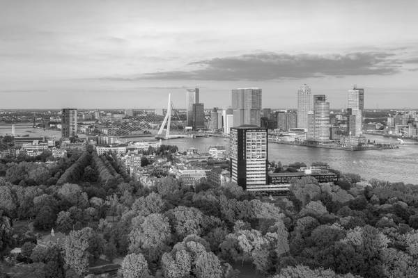 Abendsonne in Rotterdam schwarz-weiß od Michael Valjak