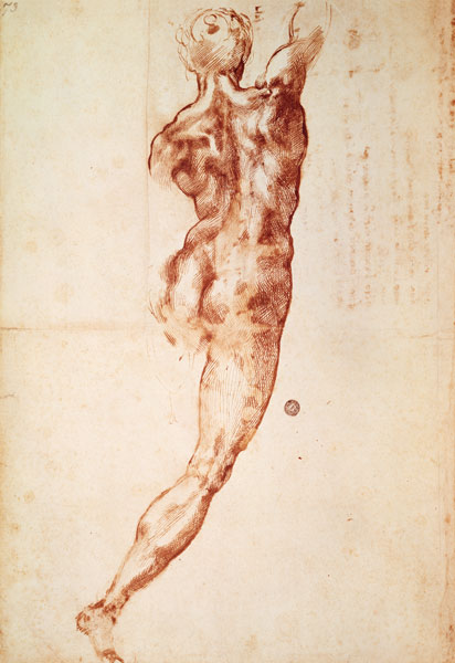 Back act od Michelangelo (Buonarroti)