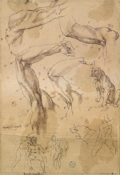 Ms H 184 fol.202 Studies of raised arms, a wild cat and a group of figures  & od Michelangelo (Buonarroti)