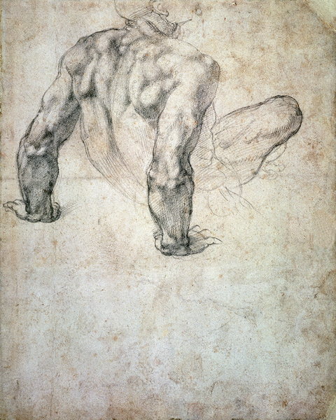 W.63r Study of a male nude, leaning back on his hands cil on od Michelangelo (Buonarroti)
