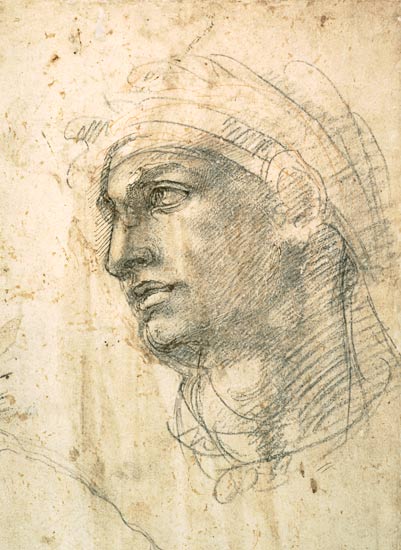 Study of a Head  Inv.1895/9/15/498 (W.1) od Michelangelo (Buonarroti)