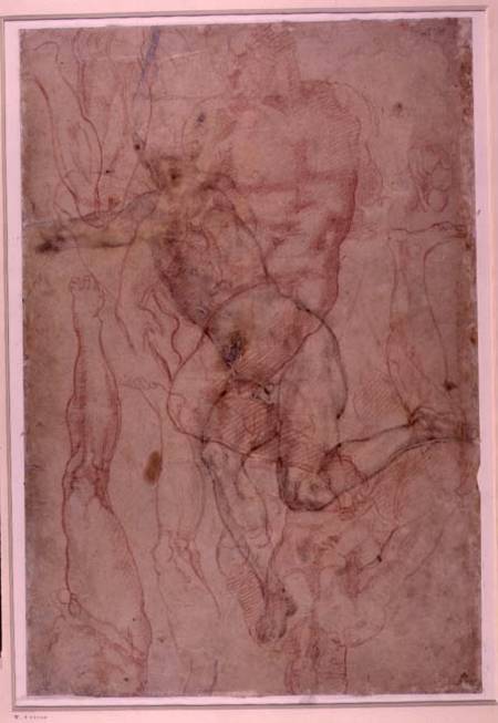 Figure Study, red chalk od Michelangelo (Buonarroti)