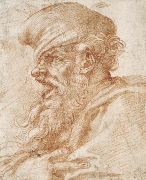 Head of a Bearded Man Shouting od Michelangelo (Buonarroti)
