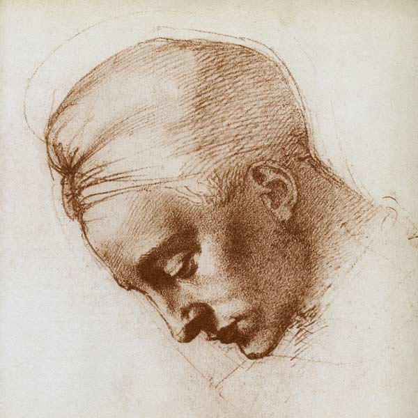 Study to the head of the Leda od Michelangelo (Buonarroti)