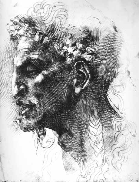Head of a Satyr (pen & ink on paper) od Michelangelo (Buonarroti)