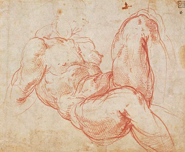 Study of a Nude (red chalk) Inv.1854/5/13/1 Recto (W.10) od Michelangelo (Buonarroti)