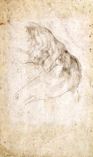 Study for The Creation of Adam(verso) (for recto see 191766) od Michelangelo (Buonarroti)